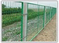 Railway fencing 1