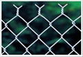 Chian link fence