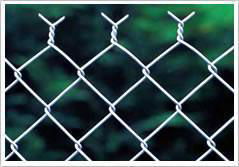 Chian link fence