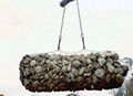 Gabions 4