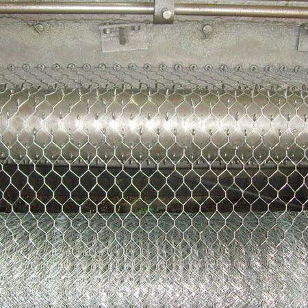 Hexagonal Wire Netting 2