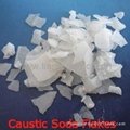 Plant of Caustic Soda 99%Min Purity