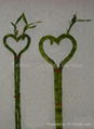 heart-shape bamboo 1