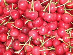 Cherries