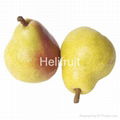 Pears