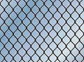 wire mesh 1