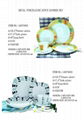 decal porcelain dinner set