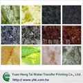 Water Transfer Printing processing /