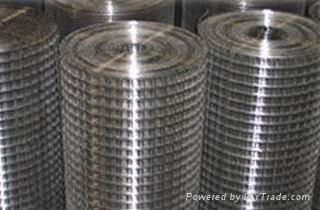 welded wire mesh 3