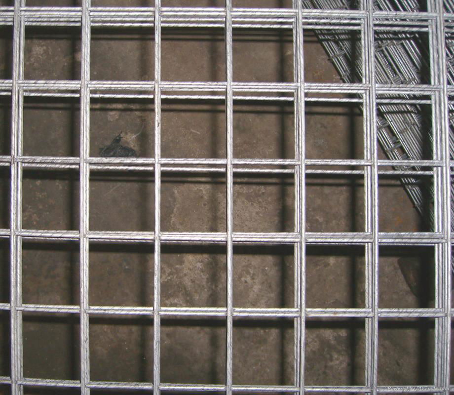 welded wire mesh 5