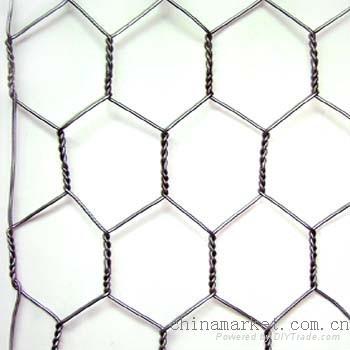 hexagonal wire mesh