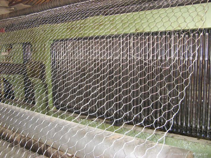 hexagonal wire mesh 5