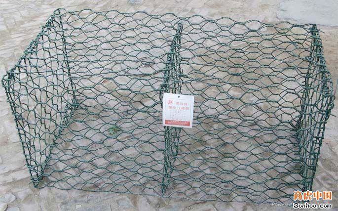 hexagonal wire mesh