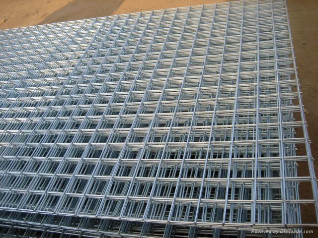 welded wire mesh 5