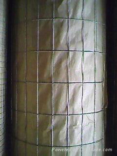 welded wire mesh