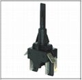 PS25-16-3(Push Button Switch ) 1