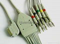 Kanz 12-Lead EKG Cable 1