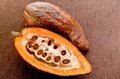 Raw cocoa beans 1