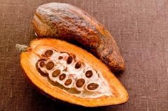 Raw cocoa beans