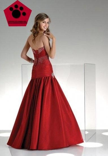 the fashionable style prom dress, elegant prom dress, evening dress 3