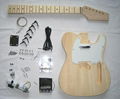 Guitar Kits  Diy Guitar kits 2