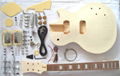 Guitar Kits  Diy Guitar kits 3
