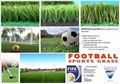 Artificial Grass