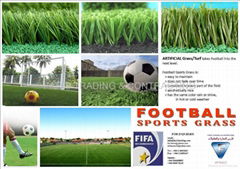 Artificial Grass