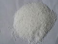 stearic acid 1