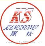 Wenzhou Kangsong Automobile Parts Co.,Ltd