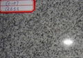 stone granite tile 1