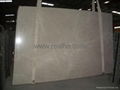 nature marble slab 3