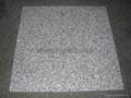 stone granite tile 4