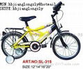 kid's bike  1