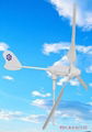 300W wind turbine 3