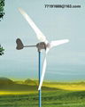 300W wind turbine 4