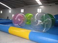 Color Water Walking Ball/Inflatable Toys 4