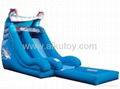 Attractive Inflatable Water Slide 2