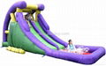 Attractive Inflatable Water Slide 3