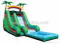 Attractive Inflatable Water Slide 4