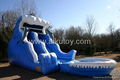 Attractive Inflatable Water Slide 5