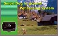 dog pet fencing system 2