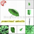 double wind-proof umbrella~ for