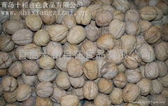 walnut