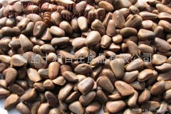 Pine nut