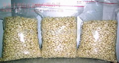 Pine nut kernel