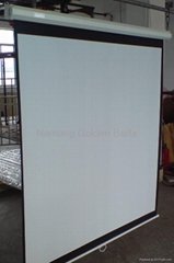 wall manual projector screen