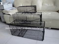 animal trap cage