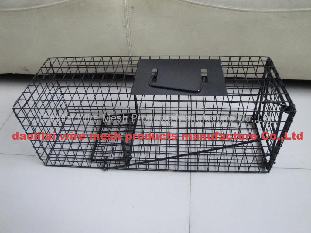 cage trap 5