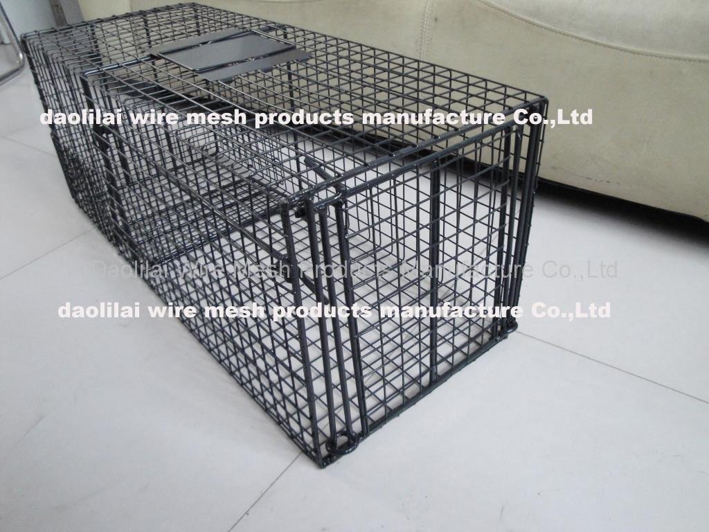 animal trap cage 3